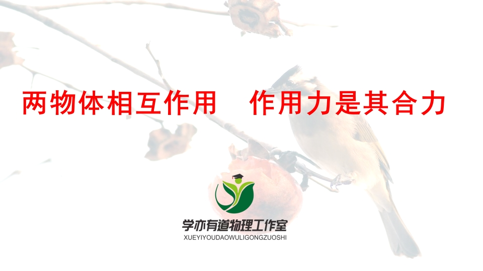 039两物体相互作用作用力是其合力