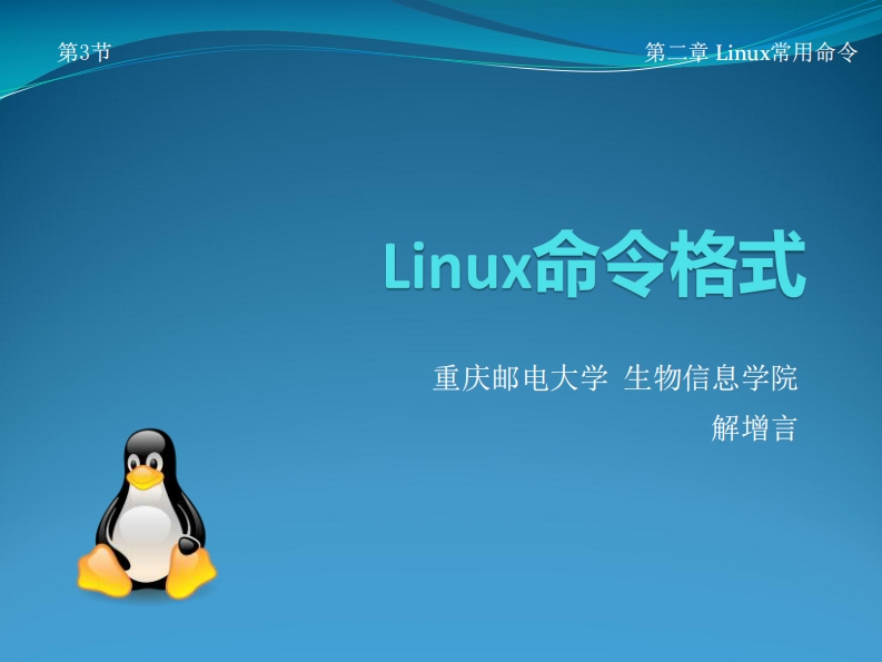 04-Linux命令格式_目录相关命令新质力文库 - 聚焦新质生产力发展的数字化知识库_行业洞察 / 理论成果 / 实践指南免费下载新质力文库