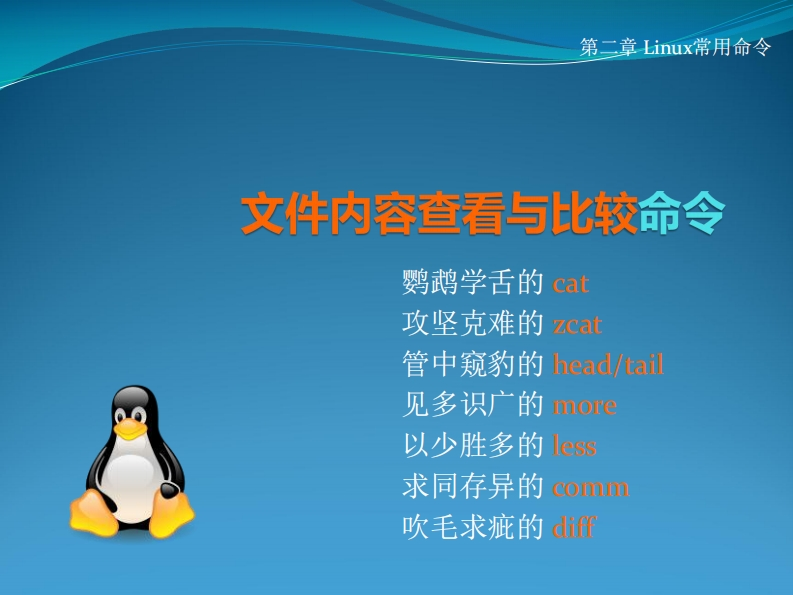 05-文件内容查看与比较命令