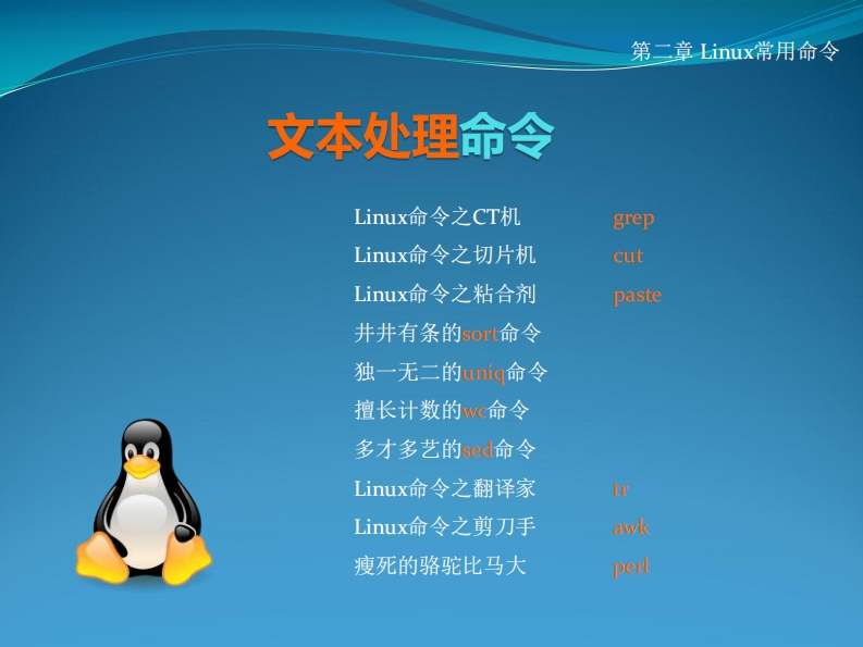 05-文本处理命令