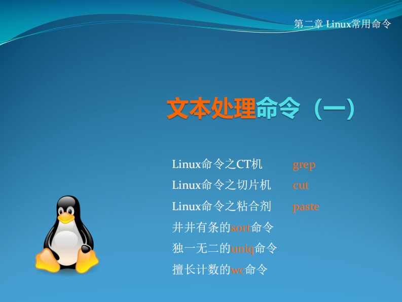 08-文本处理命令1