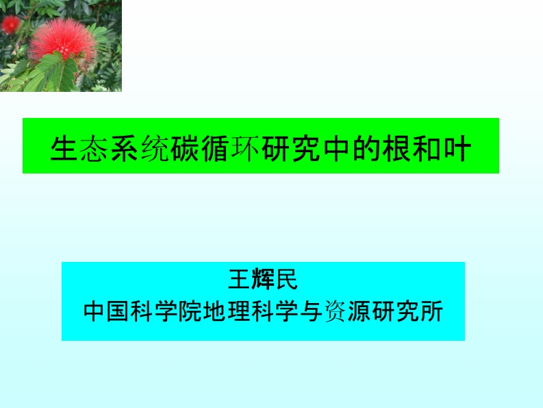 08生态系统碳循环研究中的根和叶王辉民