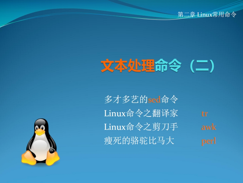 09-文本处理命令2