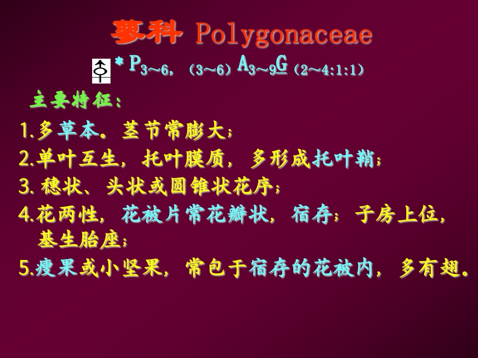 1.蓼科新质力文库 - 聚焦新质生产力发展的数字化知识库_行业洞察 / 理论成果 / 实践指南免费下载新质力文库