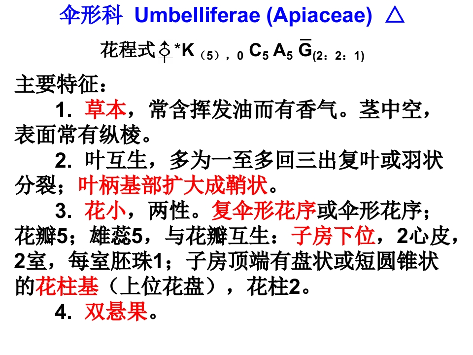 10.伞形科