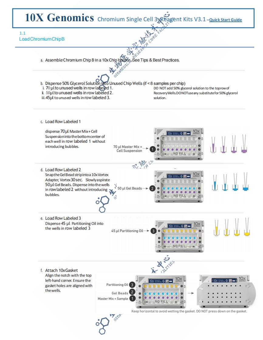 10X-Genomics--SOP
