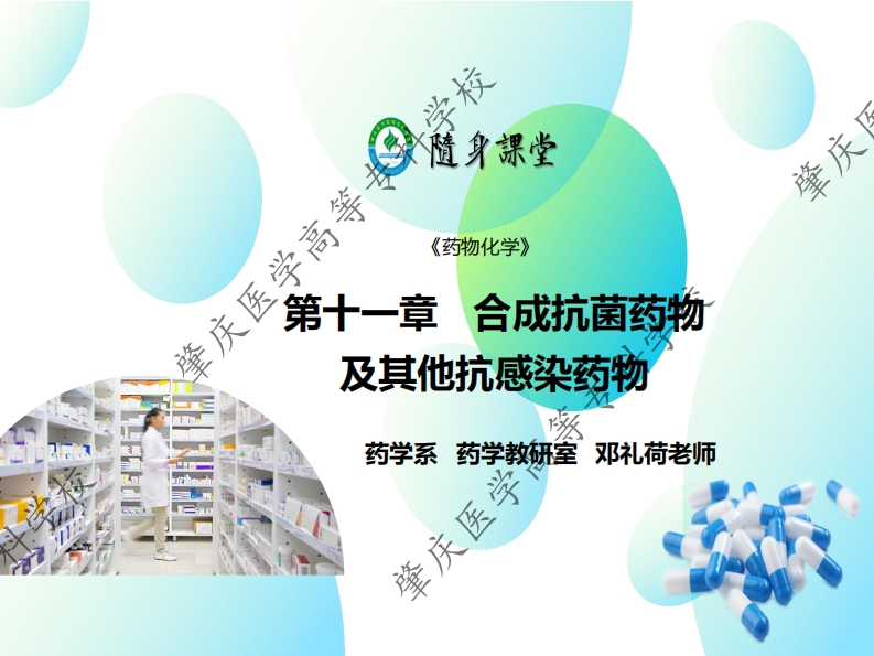 11-2-磺胺类药物
