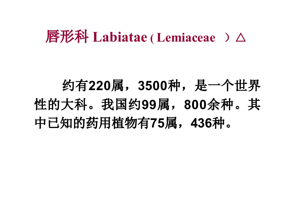 11.唇形科