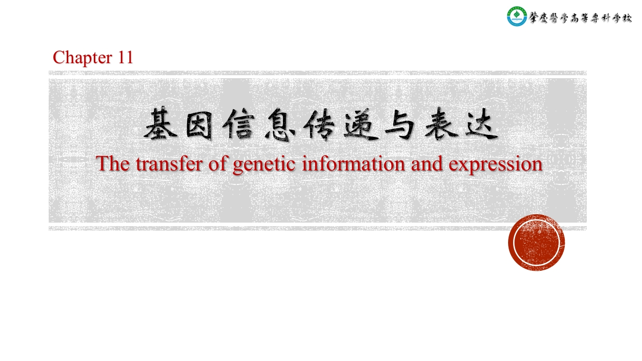 11遗传信息传递（简化）新质力文库 - 聚焦新质生产力发展的数字化知识库_行业洞察 / 理论成果 / 实践指南免费下载新质力文库