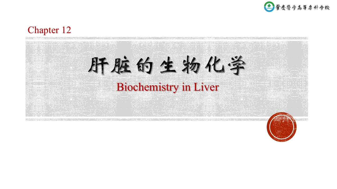 12肝的生物化学