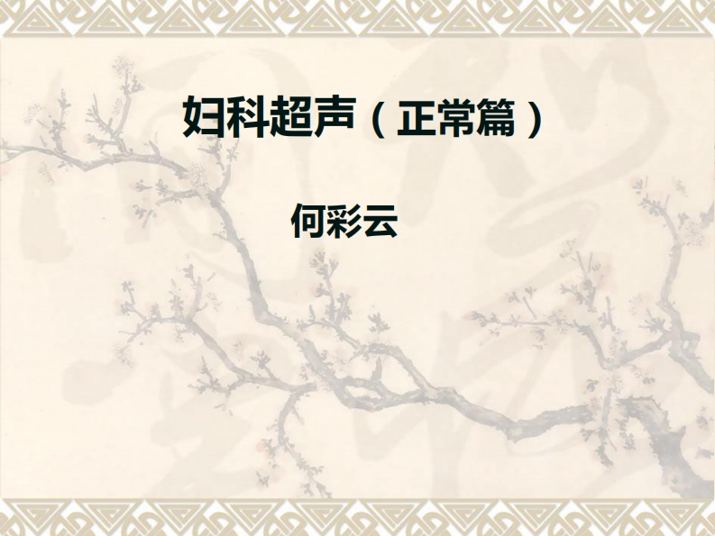13.妇科超声课件正常