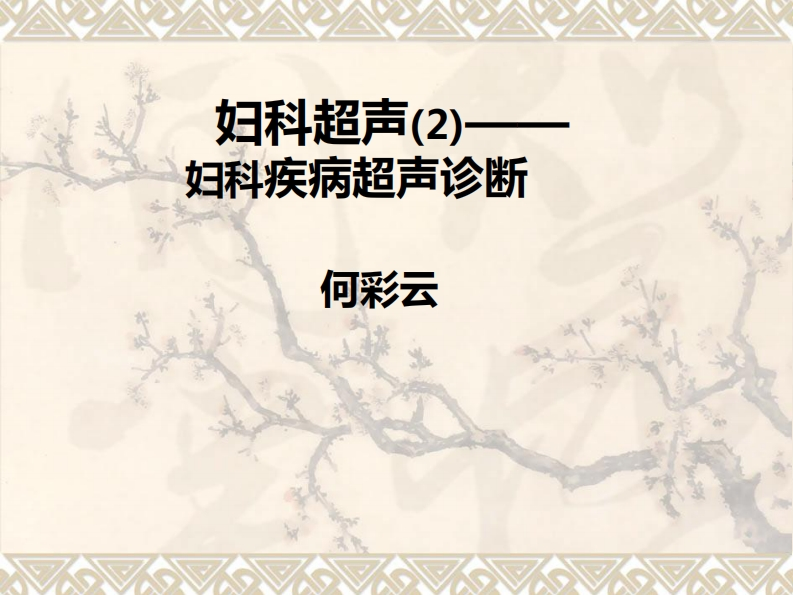 14.妇科超声课件疾病新质力文库 - 聚焦新质生产力发展的数字化知识库_行业洞察 / 理论成果 / 实践指南免费下载新质力文库