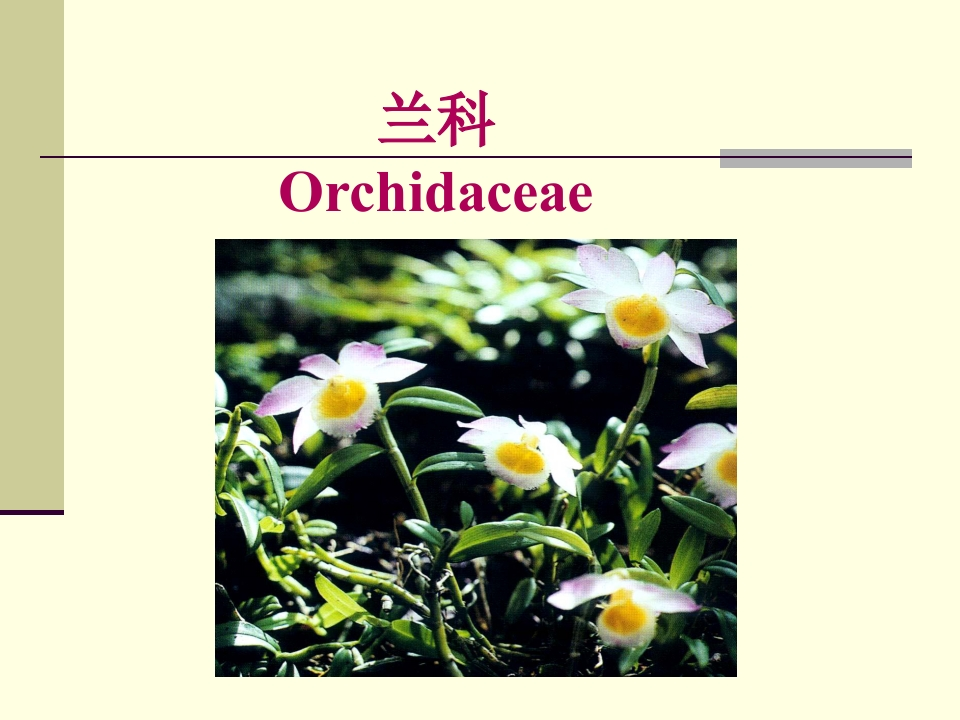 19.兰科新质力文库 - 聚焦新质生产力发展的数字化知识库_行业洞察 / 理论成果 / 实践指南免费下载新质力文库