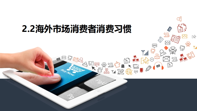 2.2市场调研渠道以及海外市场消费者消费习惯