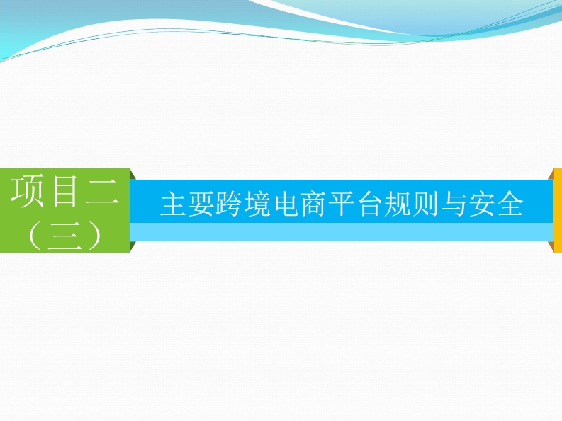 2.3主要跨境电商平台规则与安全