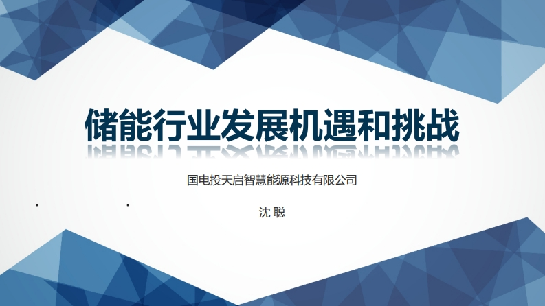 2.储能行业发展机遇和挑战-沈聪-V4