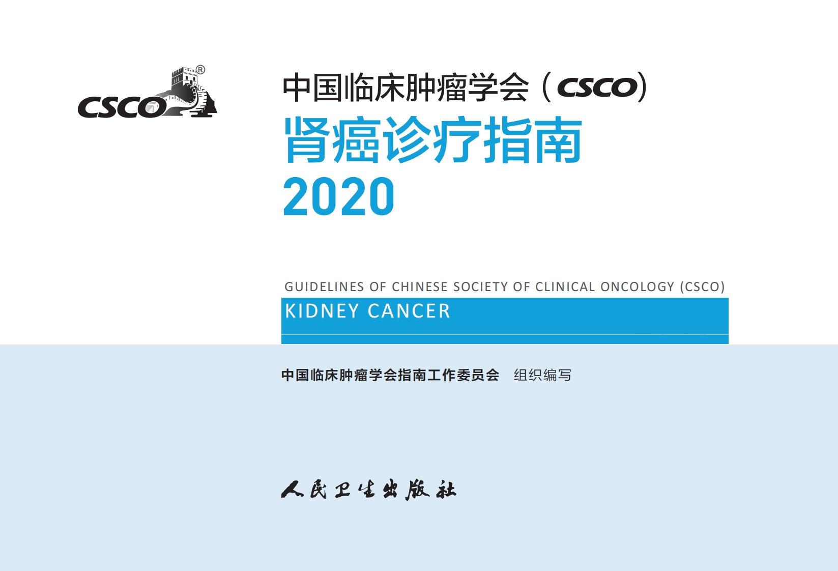 2020CSCO肾癌诊疗指南