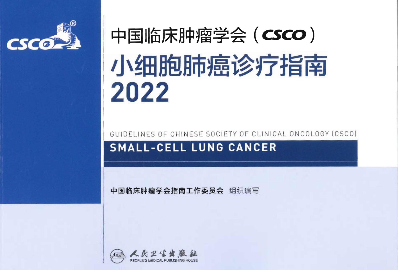 2022年CSCO小细胞肺癌诊疗指南