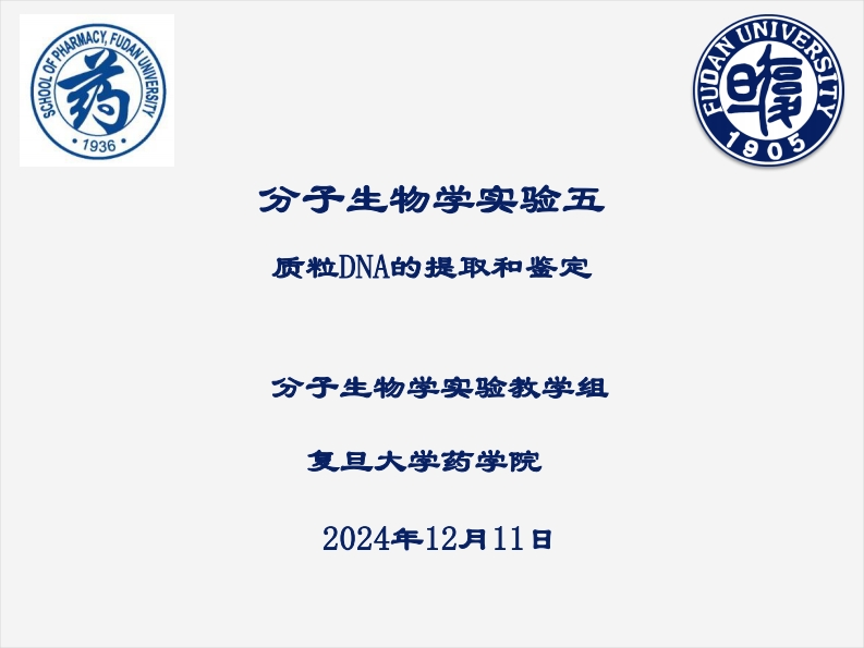 2024分子生物学实验五新质力文库 - 聚焦新质生产力发展的数字化知识库_行业洞察 / 理论成果 / 实践指南免费下载新质力文库