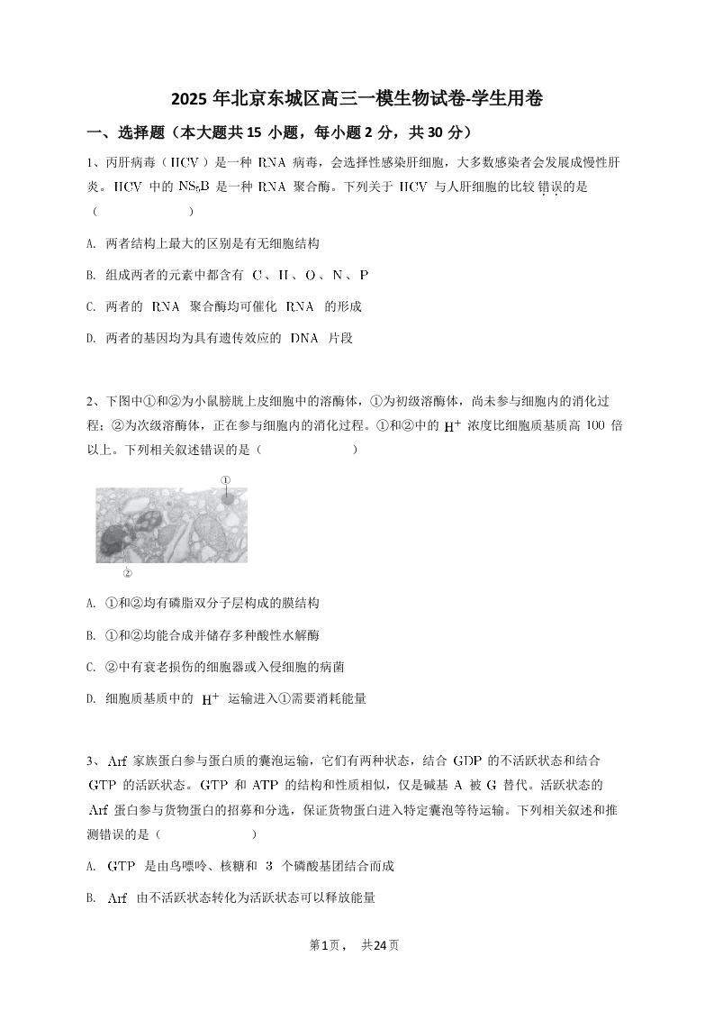 2025年北京东城区高三一模生物试卷-学生用卷