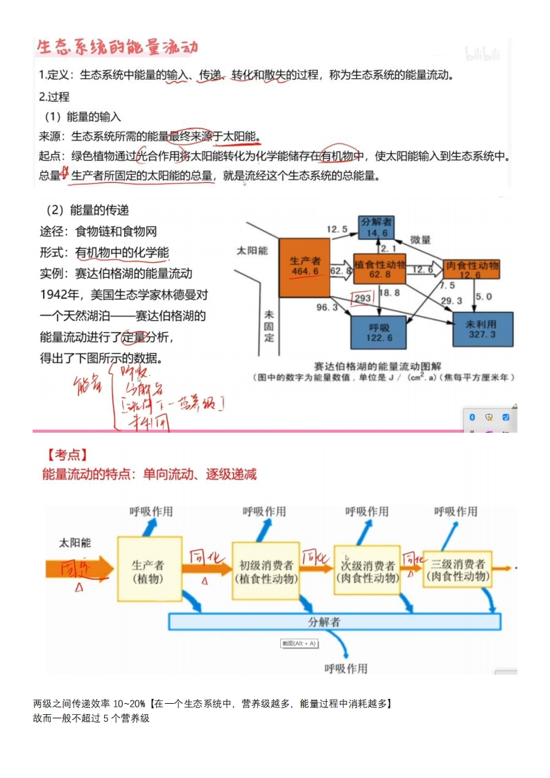 4.3.2生态系统能量流动新质力文库 - 聚焦新质生产力发展的数字化知识库_行业洞察 / 理论成果 / 实践指南免费下载新质力文库