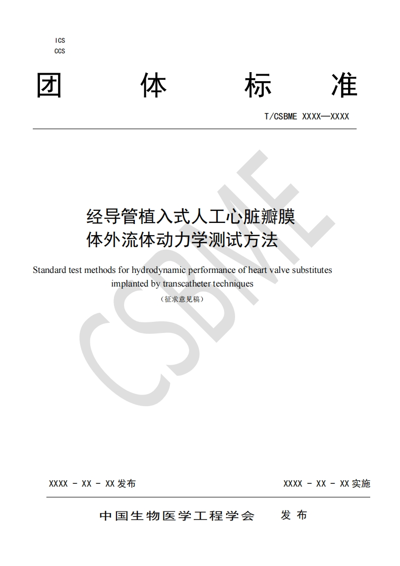5-1、：经导管植入式人工心脏瓣膜体外流体动力学性测试方法(1)