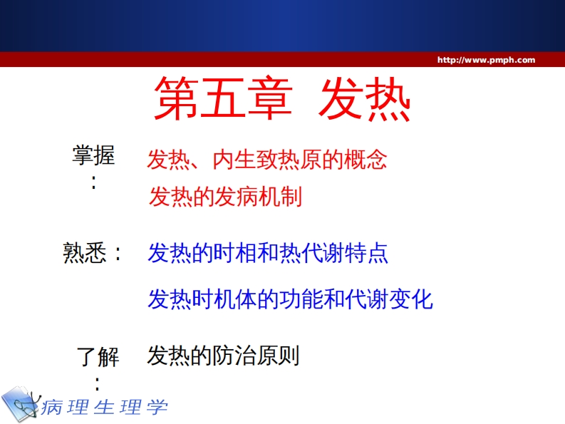 5发热新质力文库 - 聚焦新质生产力发展的数字化知识库_行业洞察 / 理论成果 / 实践指南免费下载新质力文库