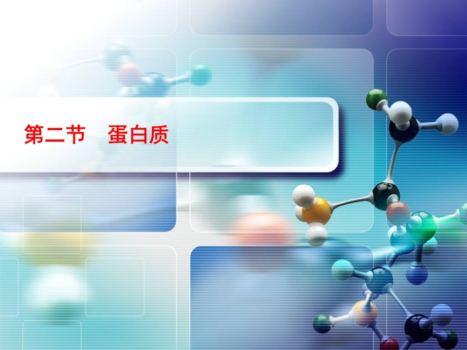 6.2——蛋白质