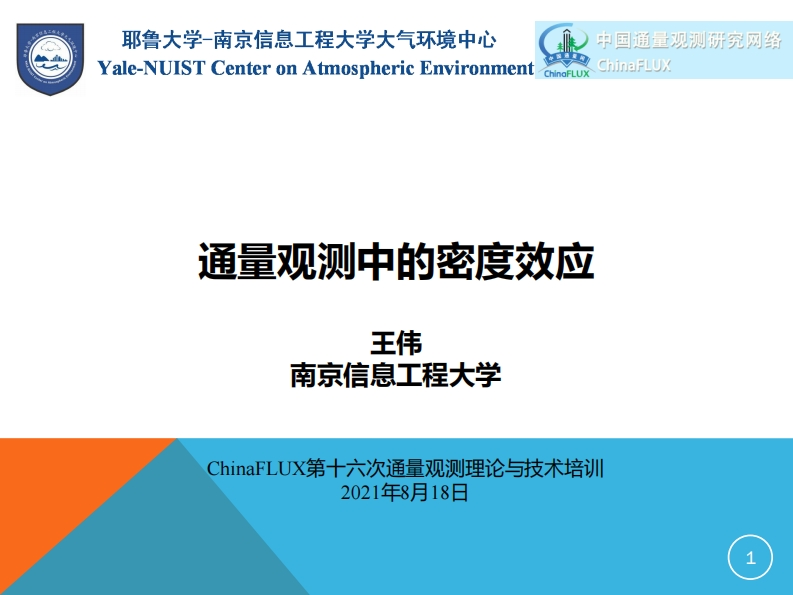 6.密度效应订正_王伟