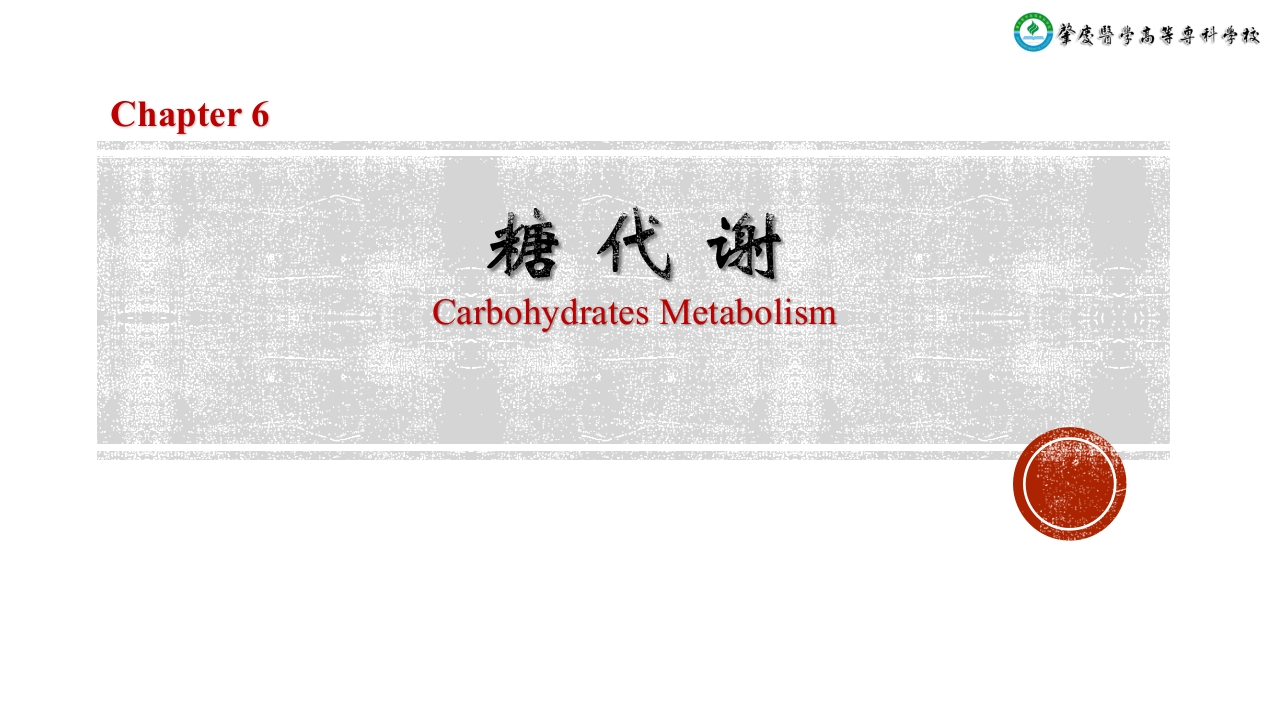 6糖代谢
