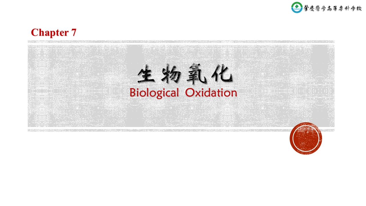 7生物氧化新质力文库 - 聚焦新质生产力发展的数字化知识库_行业洞察 / 理论成果 / 实践指南免费下载新质力文库