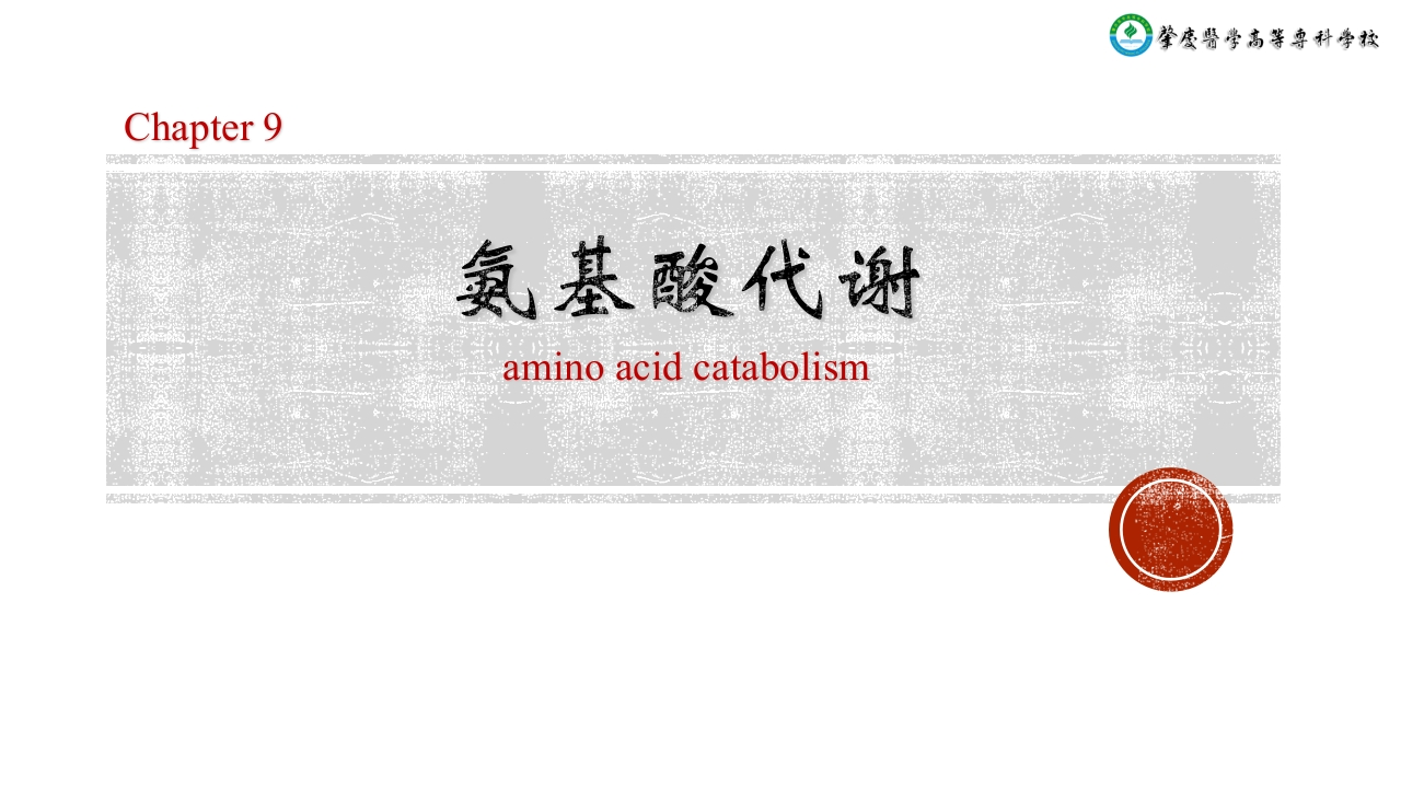 9氨基酸代谢新质力文库 - 聚焦新质生产力发展的数字化知识库_行业洞察 / 理论成果 / 实践指南免费下载新质力文库