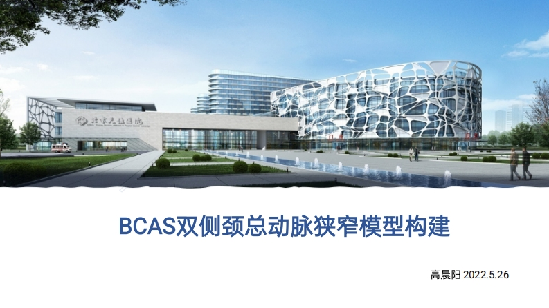 BCAS双侧颈总动脉狭窄模型构建
