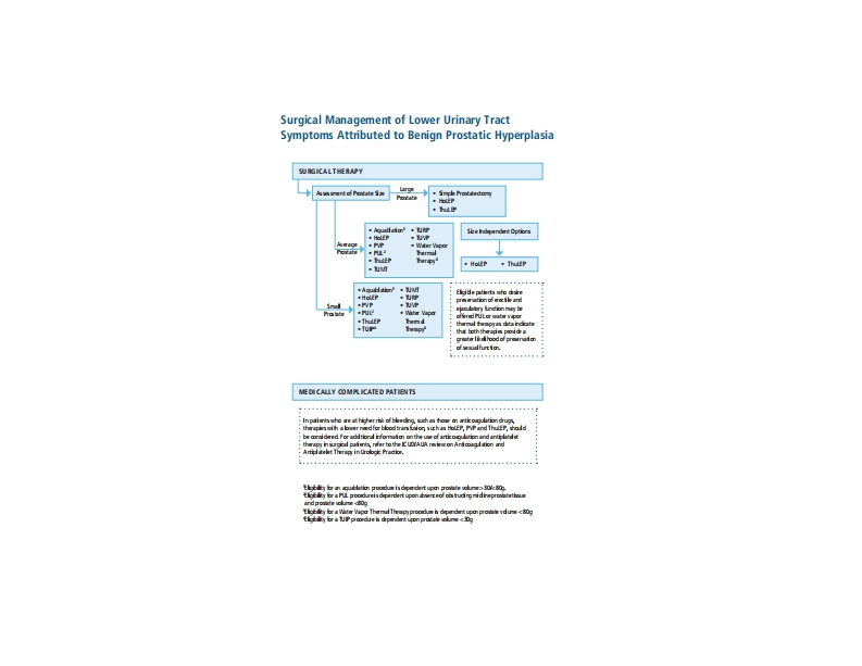 BPH-Surgicial-Management-Algorithm