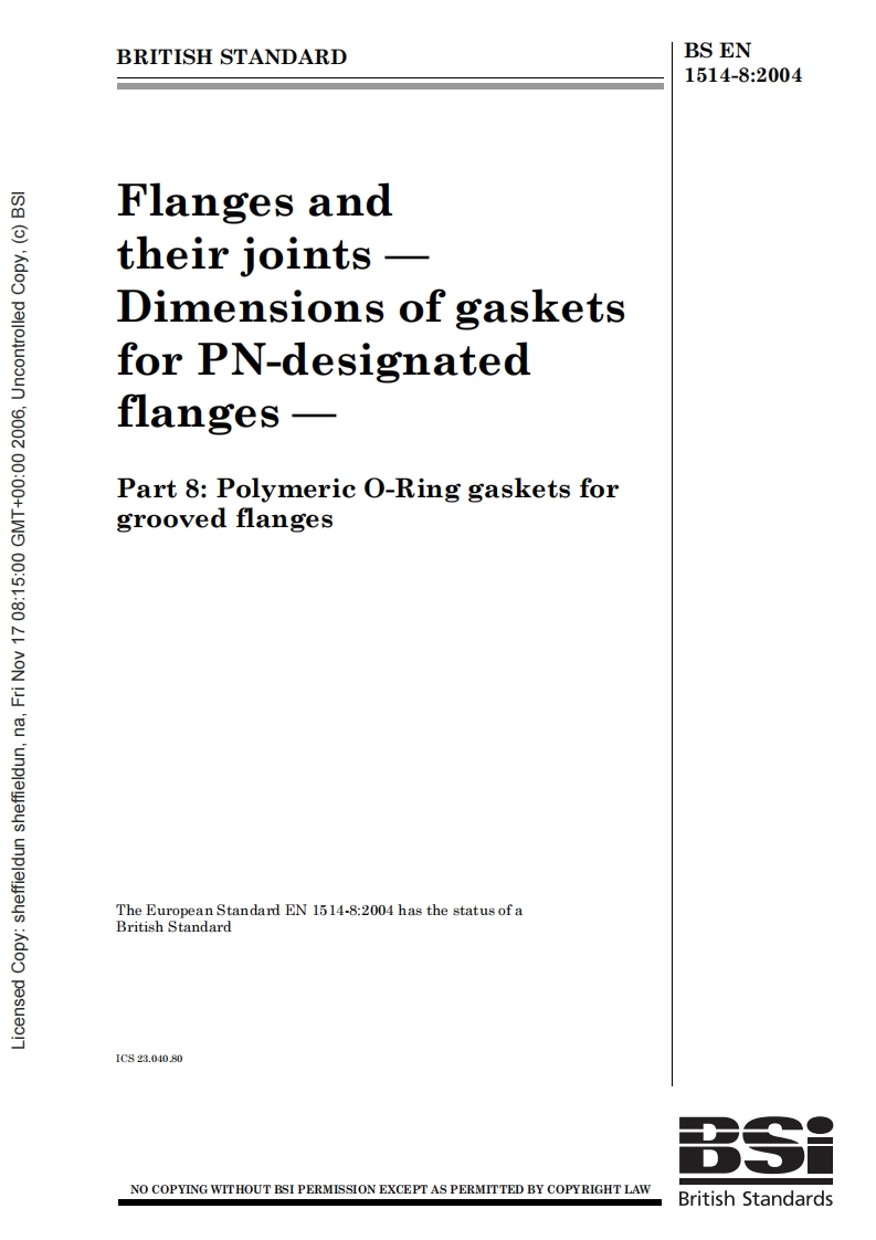 BSEN1514-8-2004.PolimericO-Ringgaskets现行标准技术规范