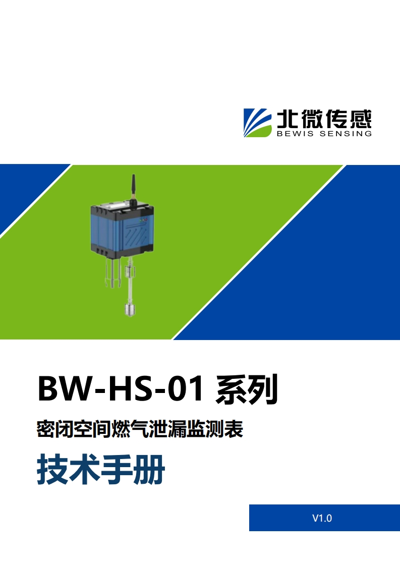 BW-HS-01密闭空间燃气泄漏监测表