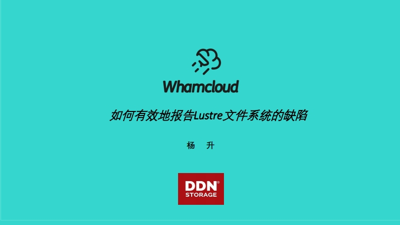 CLUG2020_杨升_如何有效地报告Lustre文件系统的缺陷