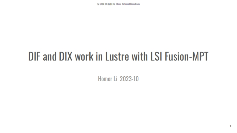 CLUG2023_10_李焱_DIF_and_DIX_work_in_Lustre_with_LSI_Fusion-MPT