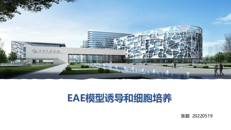 EAE模型诱导与细胞培养