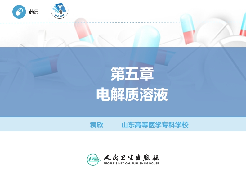 ER电解质溶液PPT010