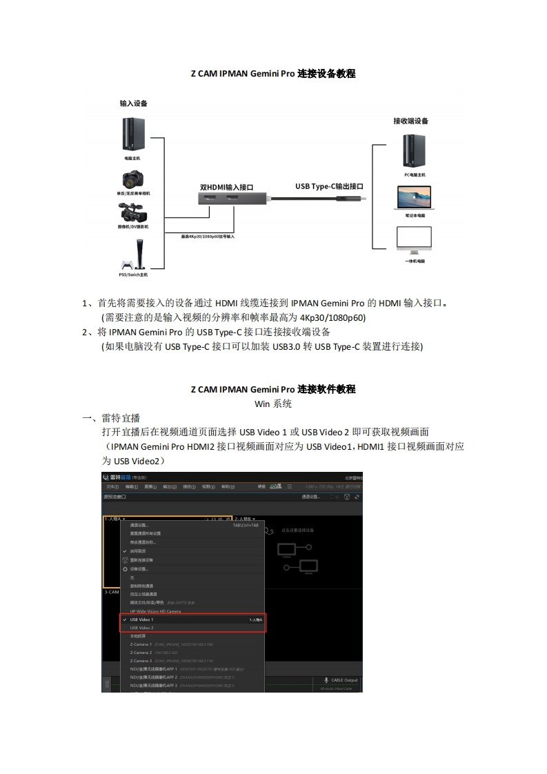 IPMAN-Gemini-Pro使用说明