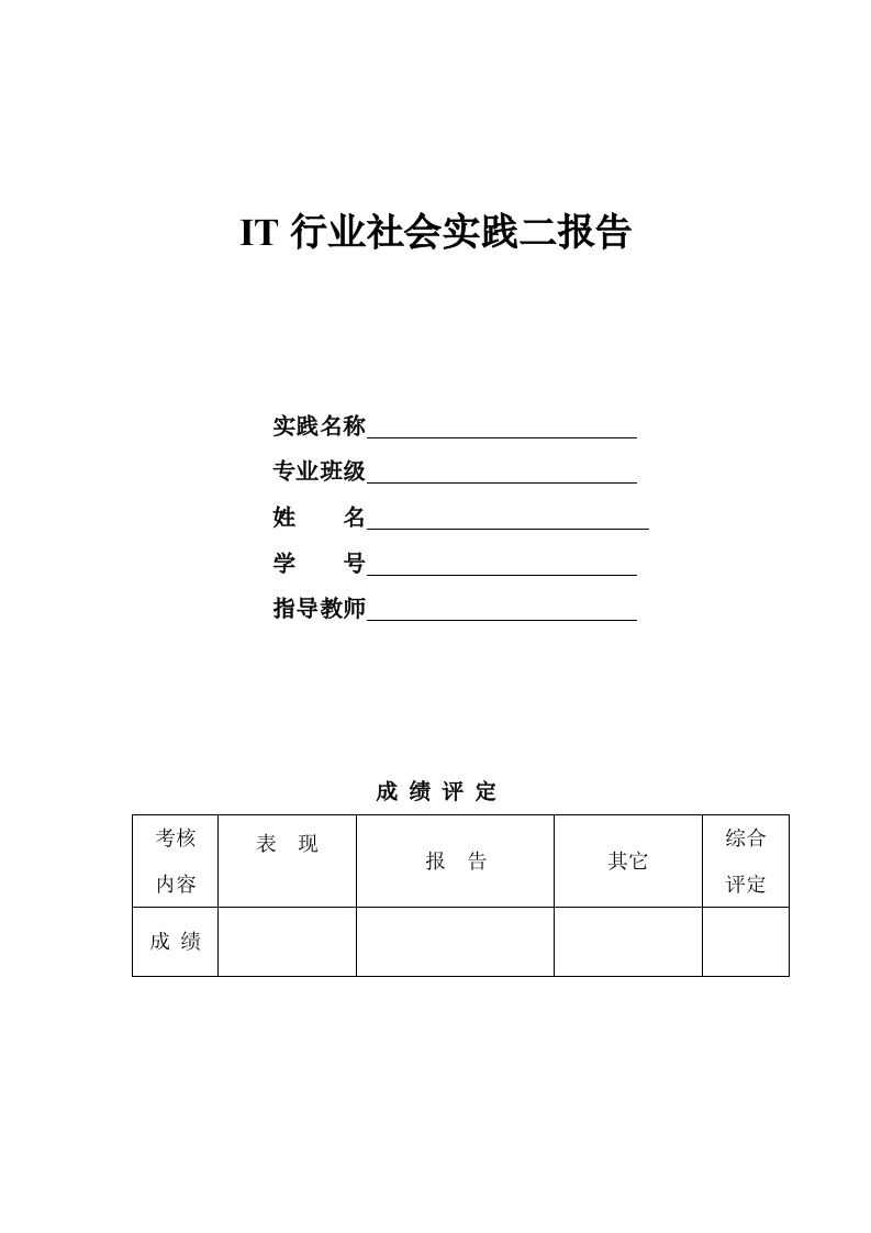 IT行业社会实践二报告格式