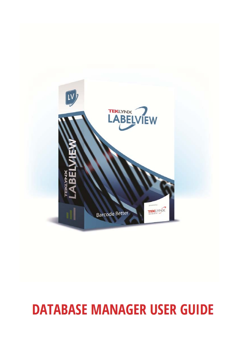 LV2019_dbmanager_guide_en