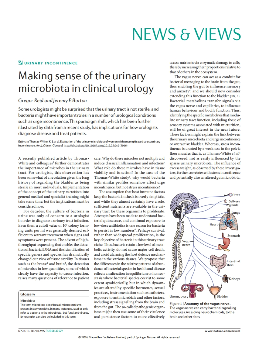 Making-sense-of-the-urinary-in-clinical-urology
