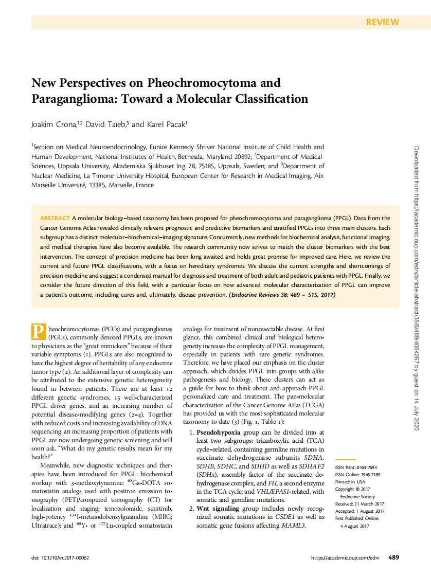 New-Perspectives-on-Pheochromocytoma-and-Paraganglioma-Toward-a-Molecular-Classification
