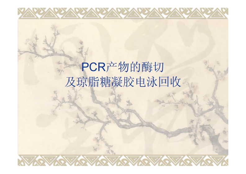 PCR产物的酶切-及琼脂糖凝胶电泳回收
