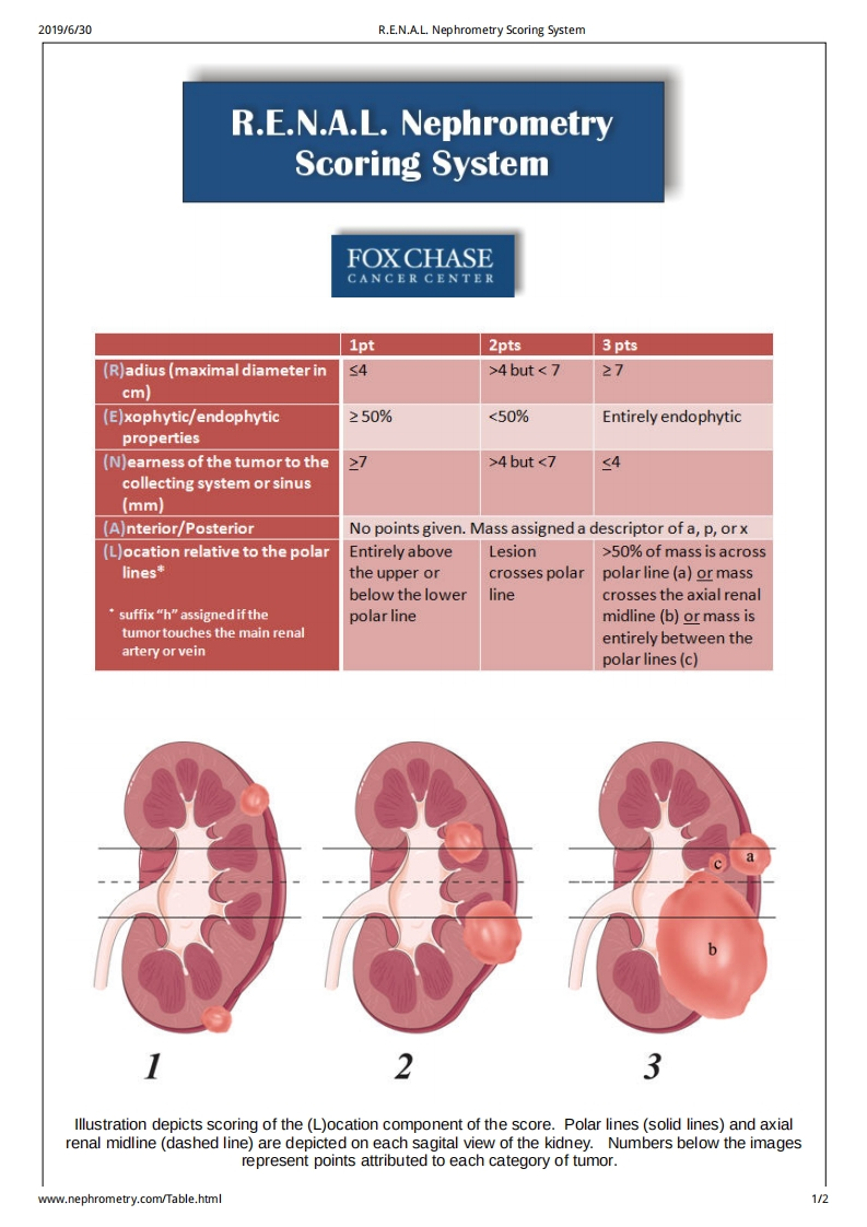R.E.N.A.L.-Nephrometry-Scoring-System-Tables
