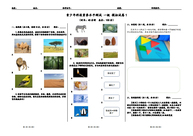 SCL一级模拟题1原版
