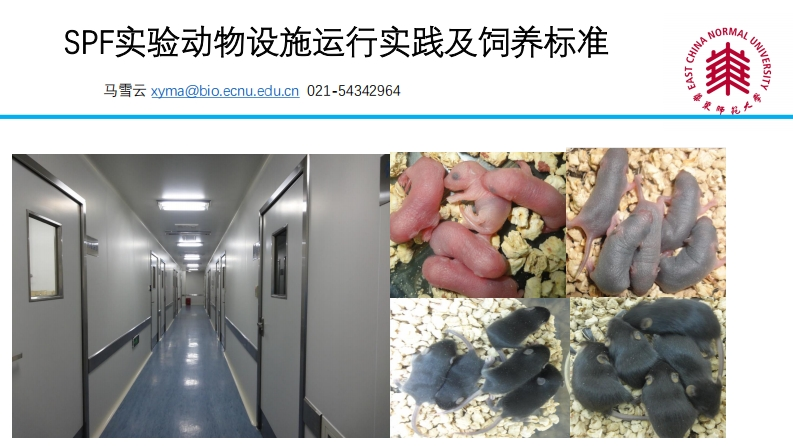 SPF实验动物设施运行实践及饲养标准