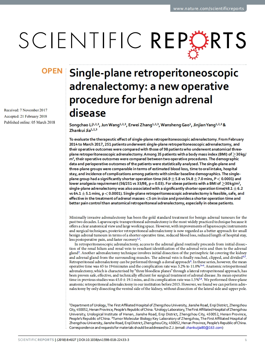 Single-plane-retroperitoneoscopic-adrenalectomy
